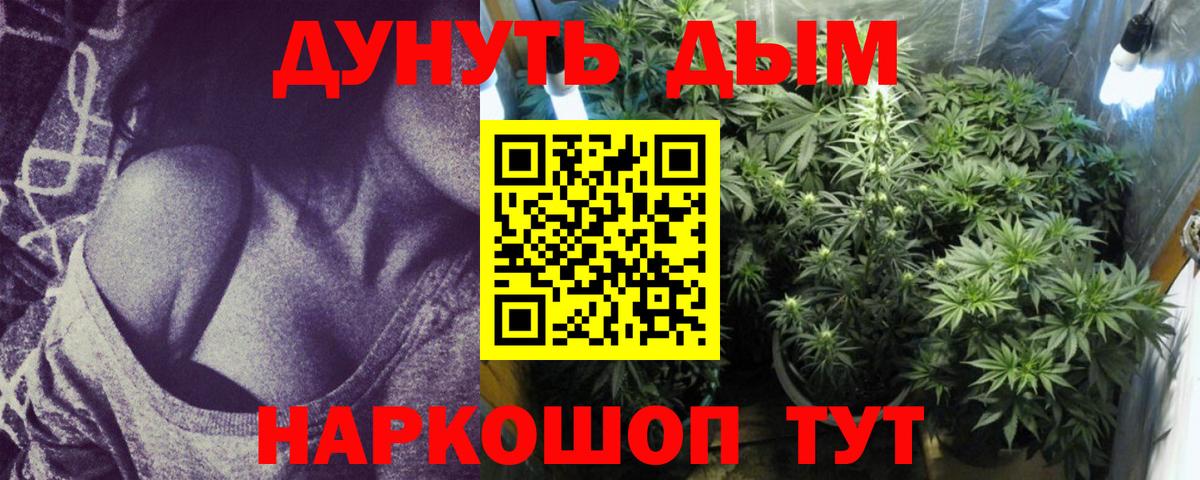 Канабис конопля Прокопьевск